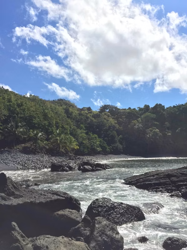 SALE ESTATE OF 7.9 HECTARES. - PROVINCE OF CHIRIQUI