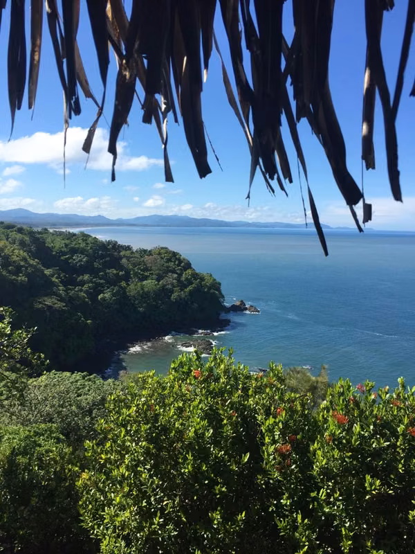 SALE ESTATE OF 7.9 HECTARES. - PROVINCE OF CHIRIQUI