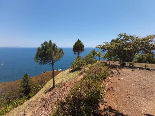 SALE ESTATE OF 7.9 HECTARES. - PROVINCE OF CHIRIQUI