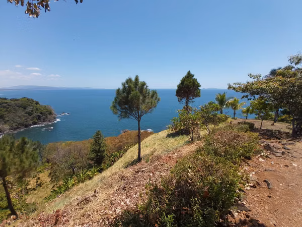 SALE ESTATE OF 7.9 HECTARES. - PROVINCE OF CHIRIQUI