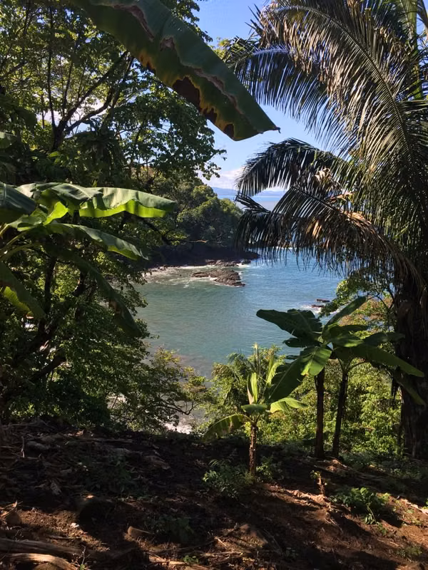 SALE ESTATE OF 7.9 HECTARES. - PROVINCE OF CHIRIQUI