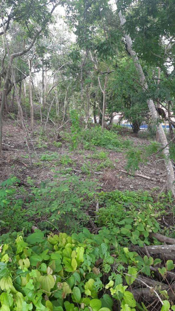 Land sale in Costa Esmeralda