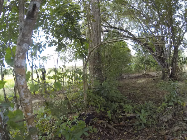 Venta de terreno subiendo a El Valle
