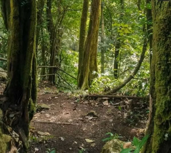 SALE OF LAND IN SORA-CHAME...