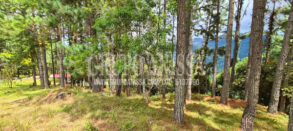 Se Vende Amplio Terreno de Esquina con Vistas en  Altos del Maria