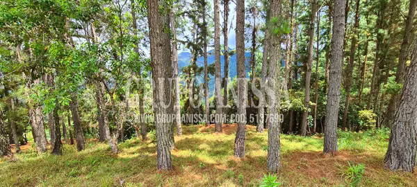 Se Vende Amplio Terreno de Esquina con Vistas en  Altos del Maria