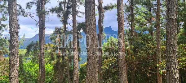 Se Vende Amplio Terreno de Esquina con Vistas en  Altos del Maria
