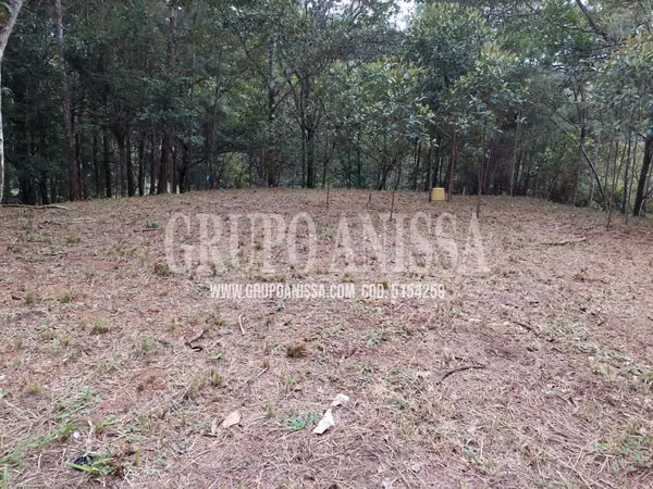 Se Vende Hermoso Terreno de Esquina en Cerro Azul