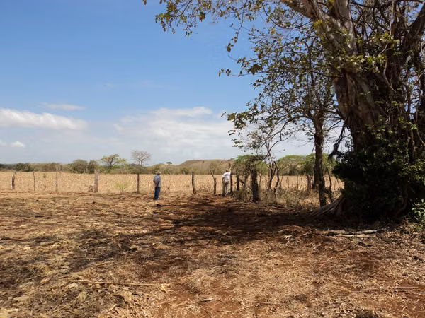 A.B.R. Vende Finca en Las Lagunitas de Guararé