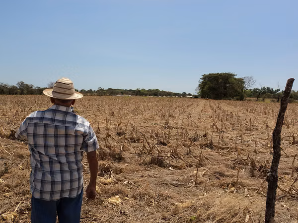 A.B.R. Vende Finca en Las Lagunitas de Guararé