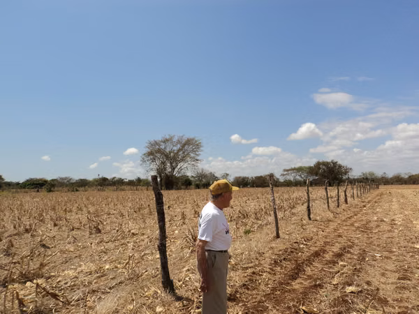 A.B.R. Vende Finca en Las Lagunitas de Guararé