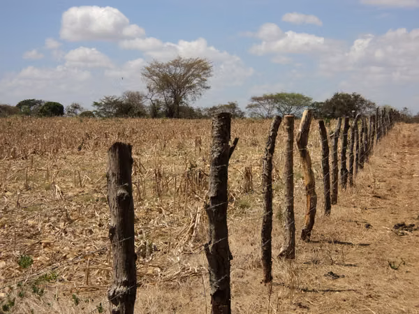 A.B.R. Vende Finca en Las Lagunitas de Guararé