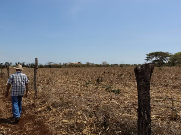 A.B.R. Vende Finca en Las Lagunitas de Guararé