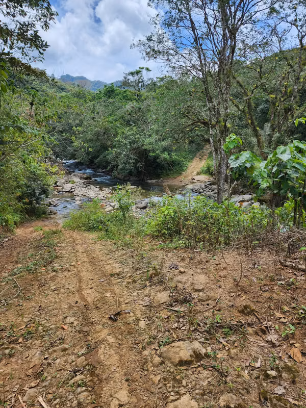 SE VENDE FINCA EN COCLÉ, OLÁ