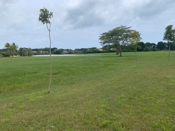 VENDO TERRENO BUENAVENTURA (4111m2)
