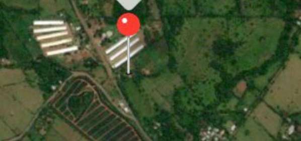 Land the Arenosa $195,000.00( 2.5Hectáreas)