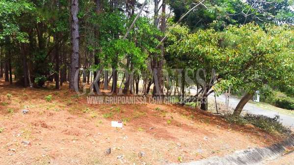 Se Vende Hermoso lote de Esquina en Altos del Maria
