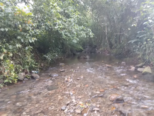 SE VENDE TERRENO CHIRIQUI, SAN ISIDRO, GRAICHE, ACERRIO