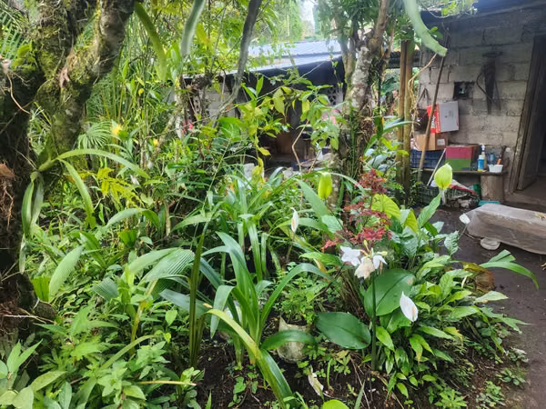 PROPERTY 450442- MOUNTAIN LIRIO-INHABITED