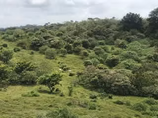 For sale  46 hectares of land registered