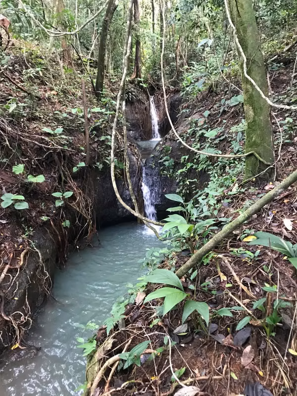 For sale  46 hectares of land registered