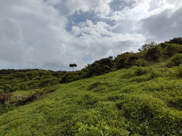 For sale  46 hectares of land registered