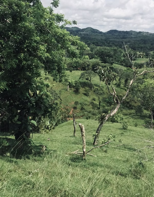Farm for sell in Escobal, Colon