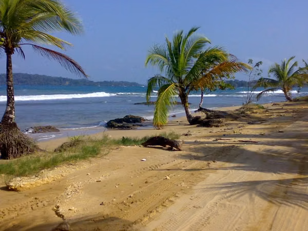 LOTS FOR SALE IN FRONT OF THE CARIBBEAN SEA, BOCAS DEL TORO PANAMA.