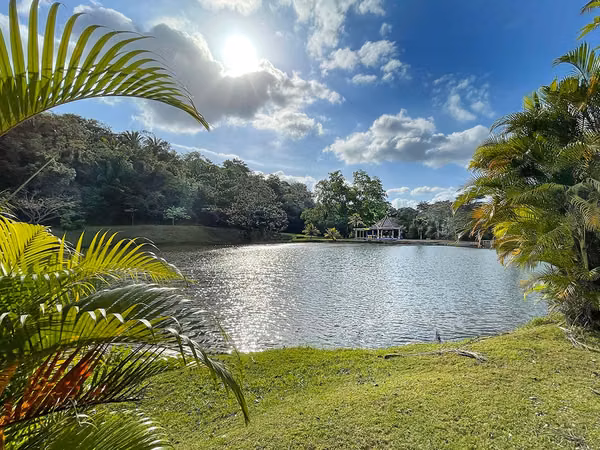 Amazing exotic-wood house 30 minutes from the city, now $299,000. ID 17970