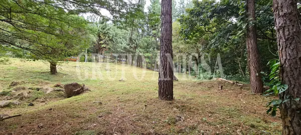 Se Vende Hermoso Terreno en Altos del Maria COD.  