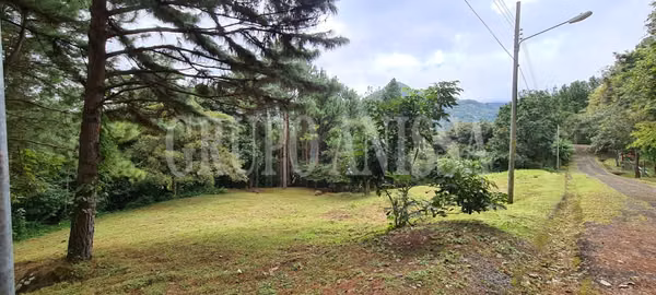 Se Vende Hermoso Terreno en Altos del Maria COD.  