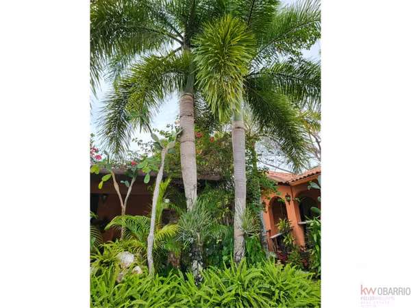 House with plantation in Nueva Gorgona, Chame