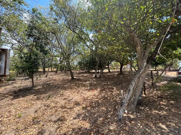 Chame – Gorgona