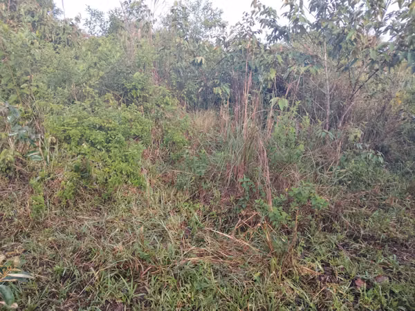SE VENDE TERRENO EN CHIRIQUI, DOLEGA, POTRERILLO ABAJO.