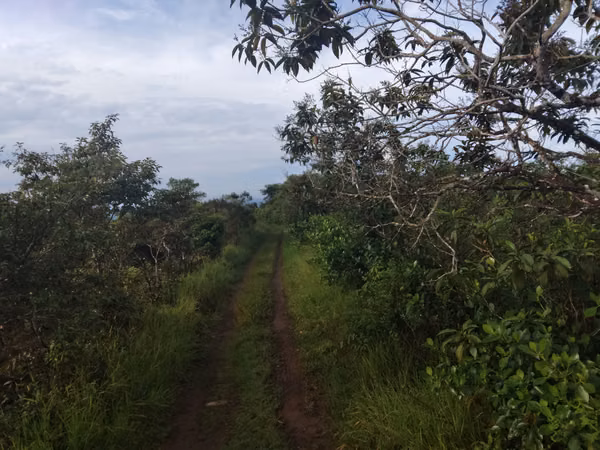 SE VENDE TERRENO EN CHIRIQUI, DOLEGA, POTRERILLO ABAJO.