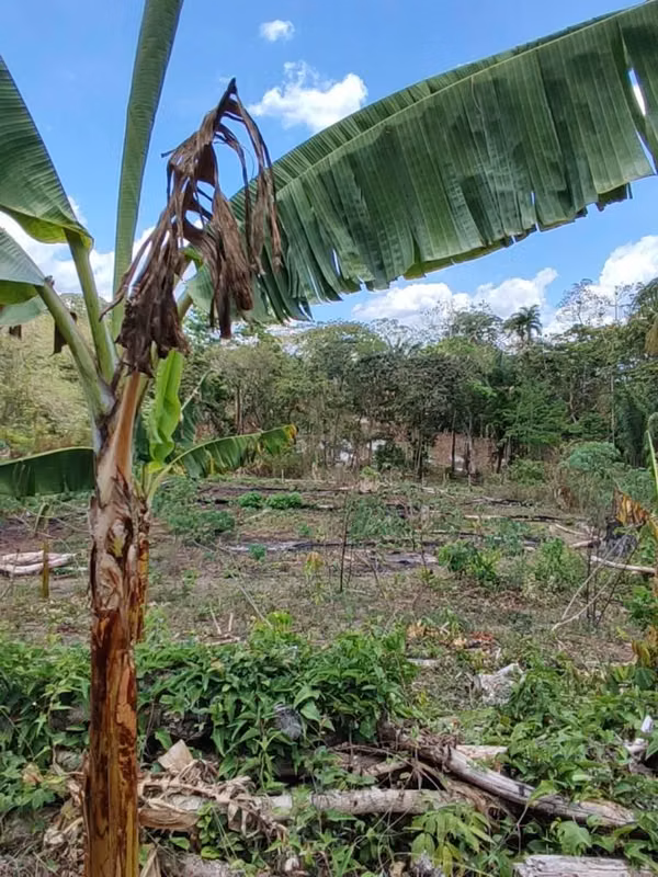 Land sale in El Cacao de Capira 2hts 85,000.00$
