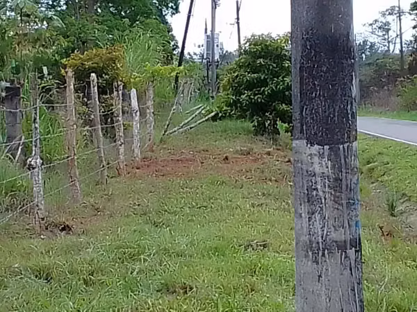 Terreno para alquilar en Nuevo Emperador, Arraiján