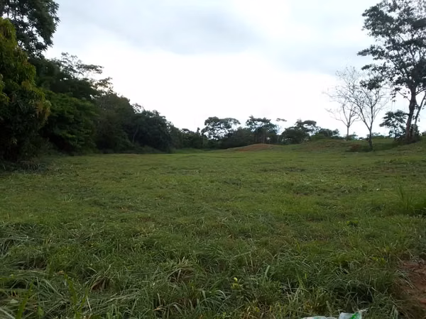 Terreno para alquilar en Nuevo Emperador, Arraiján