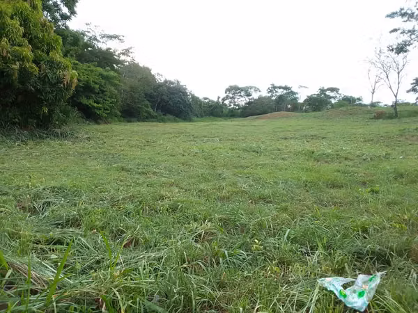 Terreno para alquilar en Nuevo Emperador, Arraiján