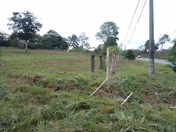 Terreno para alquilar en Nuevo Emperador, Arraiján