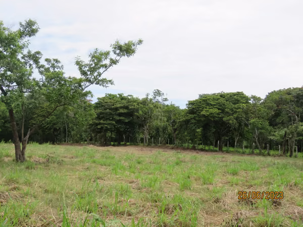 Chiriquí, David, Sector Santa Cruz