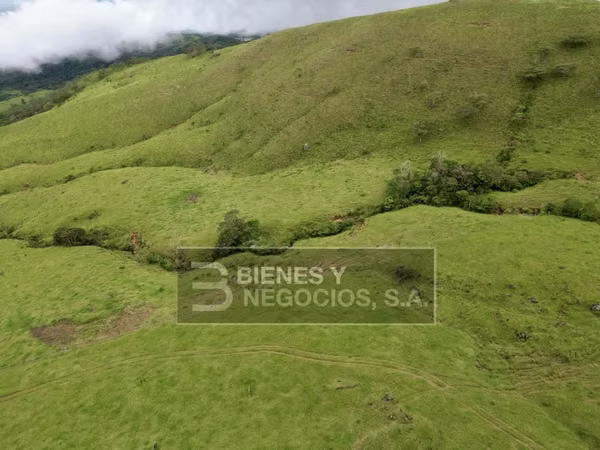 Beautiful land in Chiriqui, Boquete, 297.32 acres in Jaramillo Center