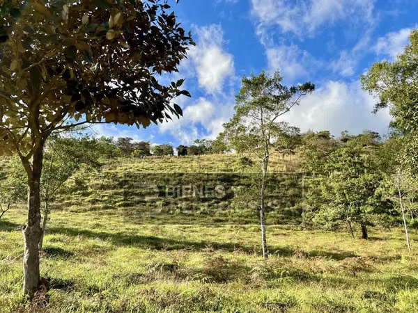 Beautiful land in Chiriqui, Boquete, 297.32 acres in Jaramillo Center