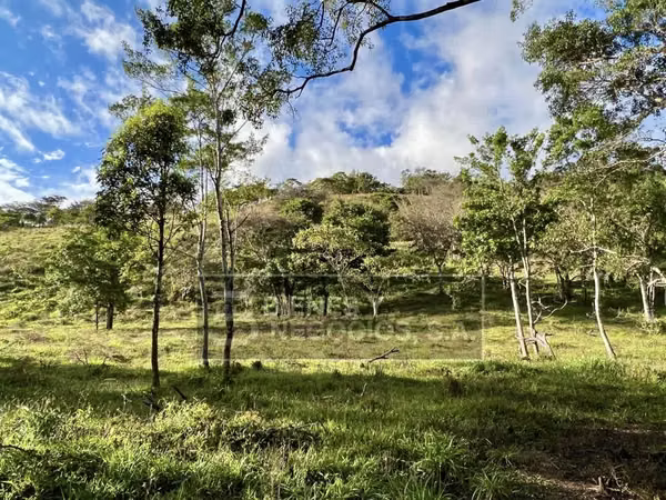 Beautiful land in Chiriqui, Boquete, 297.32 acres in Jaramillo Center