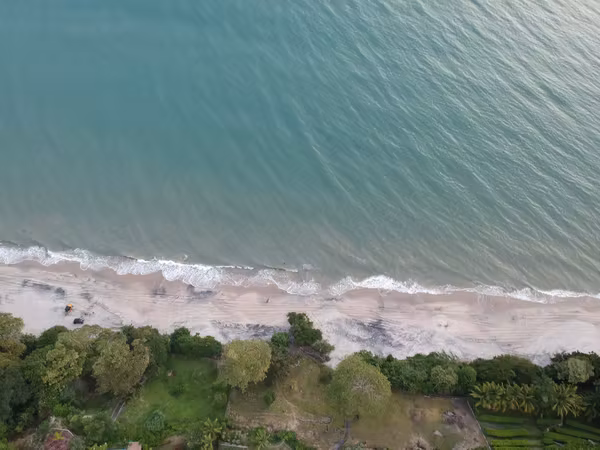 Sale of commercial land in Costa del Este