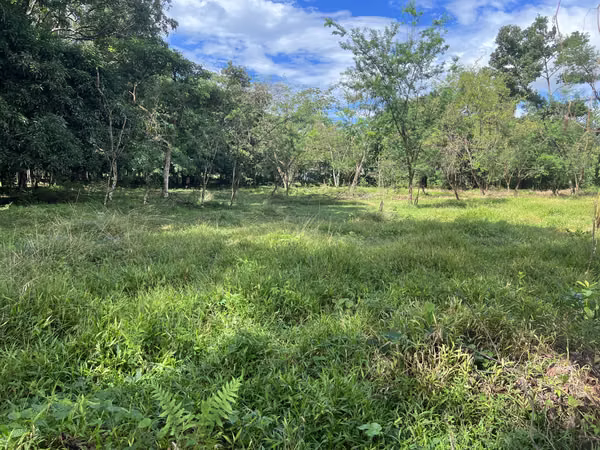 Land in Chiriqui, Dolega 5,583m2 in residential area.