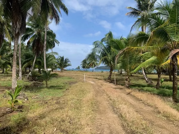 Land for sale in Portobelo