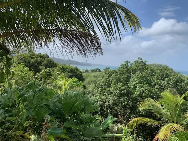 Land for sale in Portobelo
