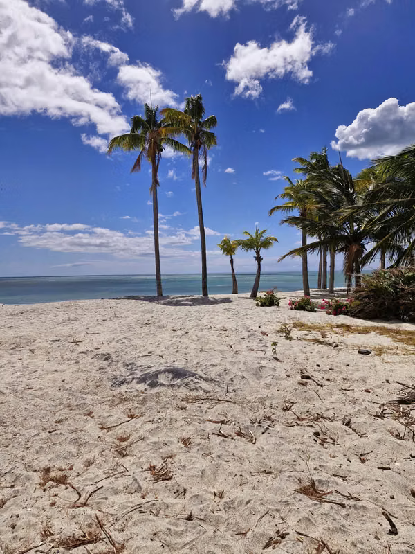 BUENAVENTURA BEACHFRONT LOT 5,004 m² US$4,900,000