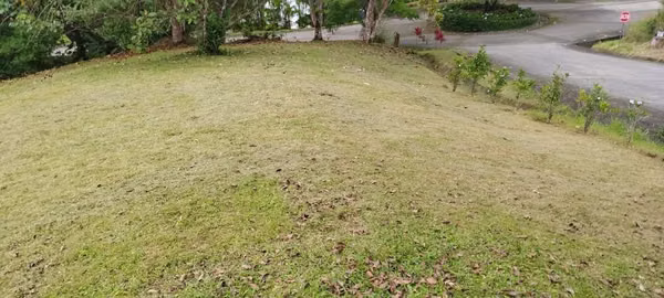 Land in Lucero Golf &amp; Country Club